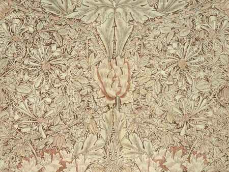 PDXC21745b -- Patterns William Morris Online now