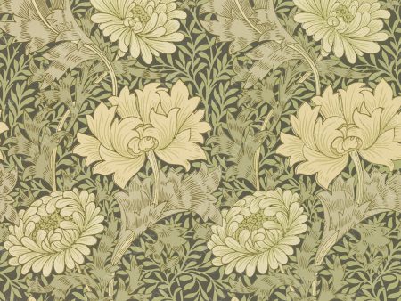 PDXC21725b -- Patterns William Morris For Sale