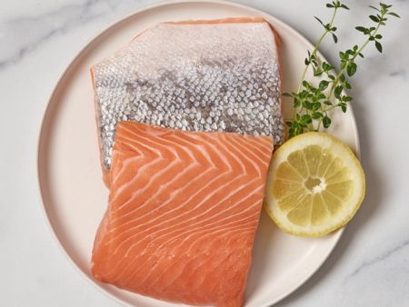 Wild Alaskan King Salmon For Sale