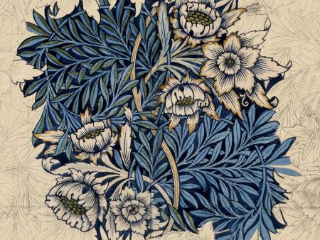 PDXC21736b -- Patterns William Morris Supply