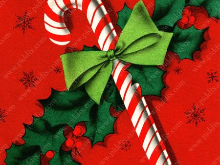 PDXC21597a -- Candy Cane Holly Sale