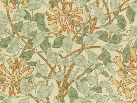 PDXC24655a -- Patterns William Morris Online Sale