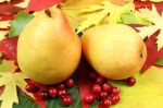 Cranberry Pear White Balsamic Vinegar Online