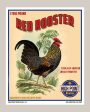 High Point Coffee Red Rooster Blend Hot on Sale