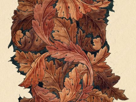 PDXC21756 -- Patterns William Morris For Discount