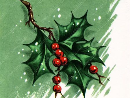 PDXC20384b -- Christmas Holly Sale