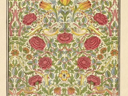 PDXC24654c -- Patterns William Morris Hot on Sale