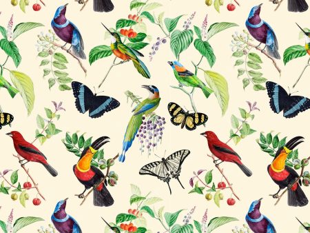 PDXC21033 Bird Pattern -- Tropical Birds Butterflies Cheap