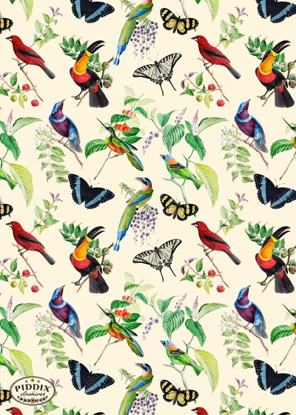 PDXC21033 Bird Pattern -- Tropical Birds Butterflies Cheap