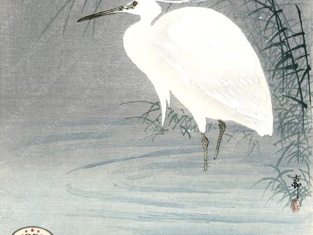 PDXC19519 -- Japanese Egret Cheap