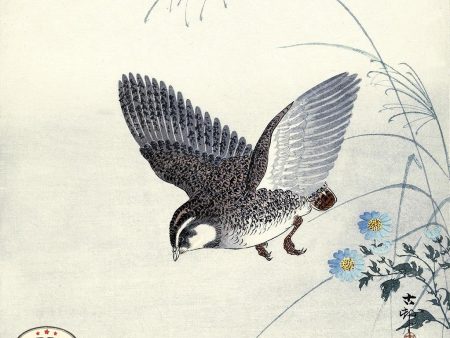 PDXC19620 -- Japanese Bird and Flowers Online Sale