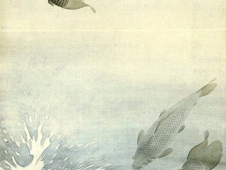 PDXC19514 -- Japanese Fish Online Sale