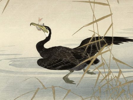 PDXC19529 -- Japanese Bird and Grass Supply