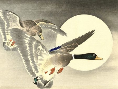 PDXC19680 -- Japanese Ducks and Moon For Sale