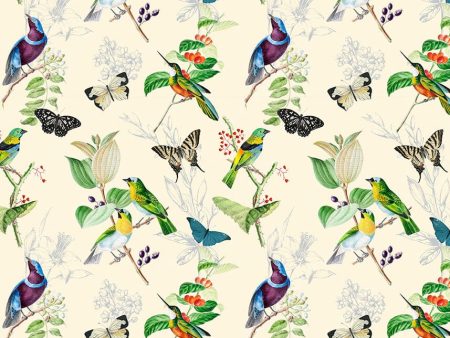 PDXC21032 Bird Pattern -- Birds Butterflies Flowers on Sale