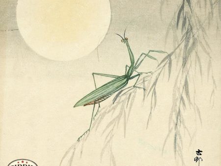 PDXC19788 -- Japanese Praying Mantis and Moon For Cheap